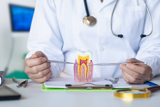 Best Mobile Emergency Dentist in Bonny Doon, CA
